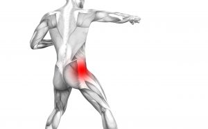 hip muscle pain scaled 1 -